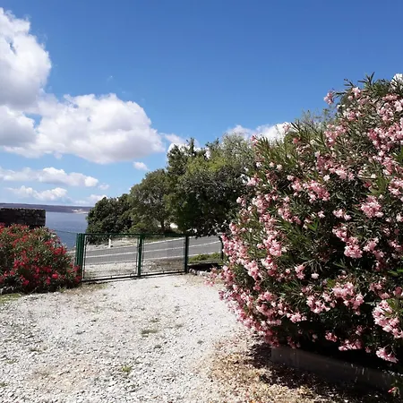 Mit Meerblick By Interhome